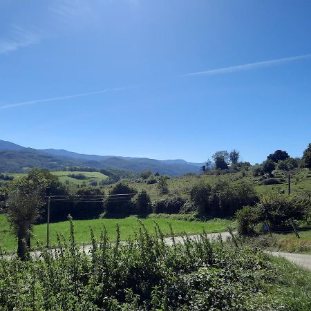 Chez Line Et Pierre: Appartement Spacieux, Lumineux Et Equipe La Bastide-de-Serou Luaran gambar
